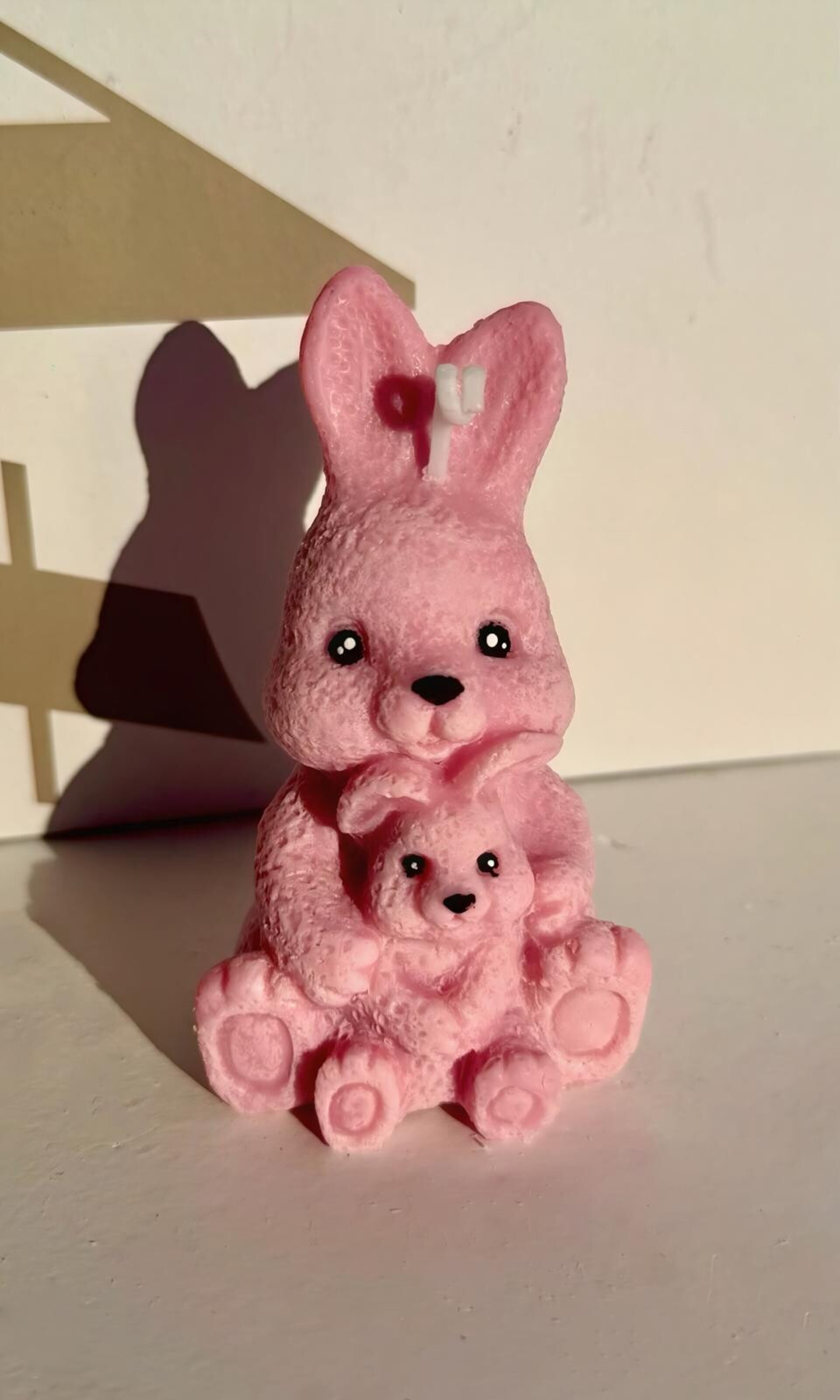 PINK RABBIT - 2