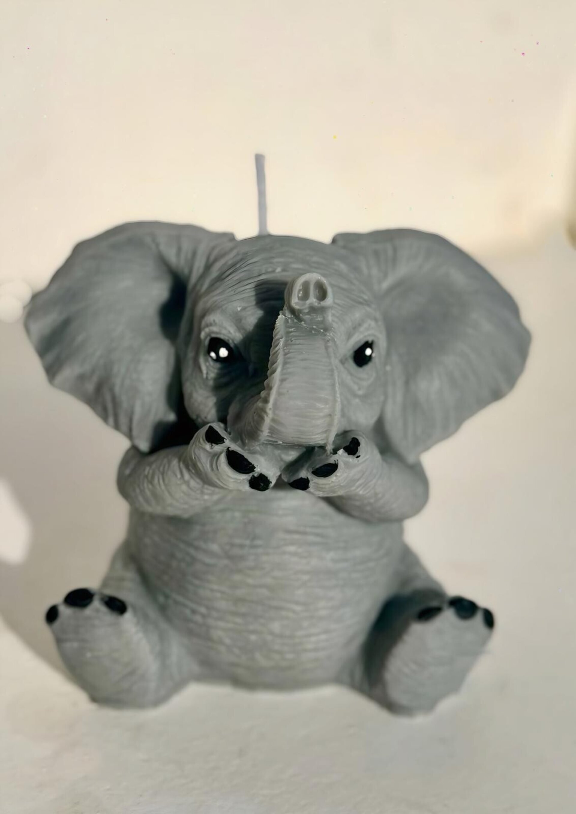ELEFANTE VER, OÍR Y CALLAR - 4