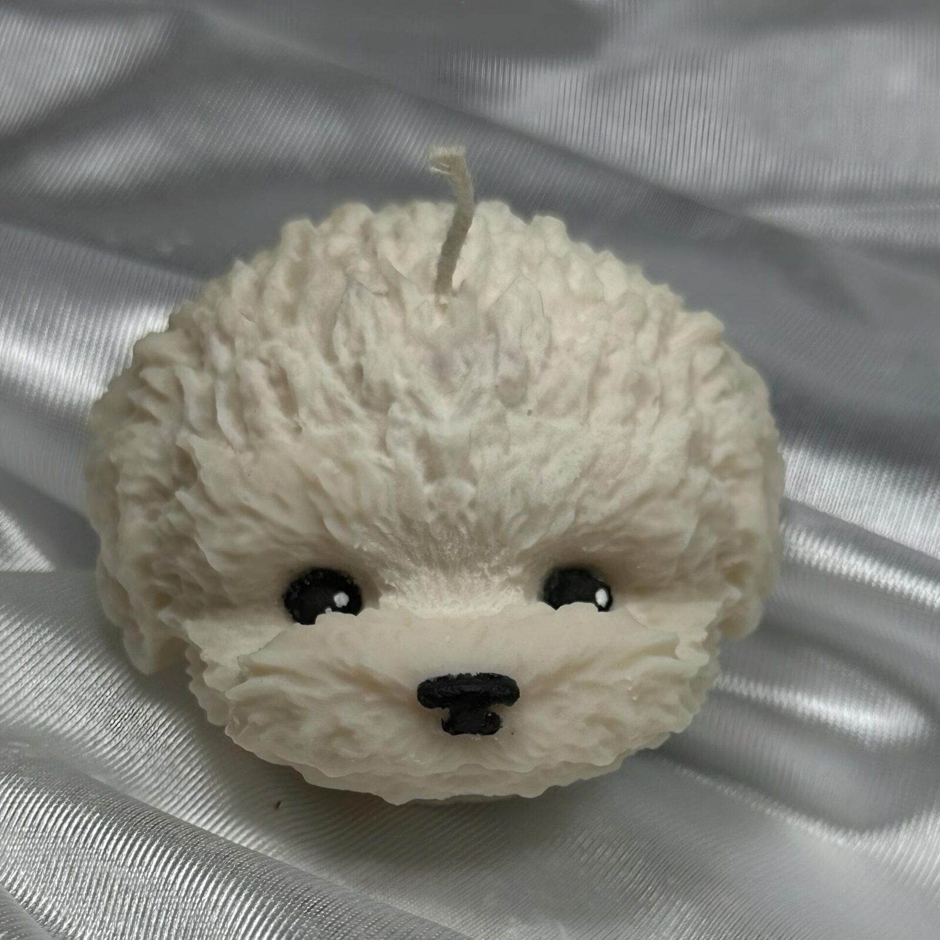 CARA RIZOS CANICHES - 1