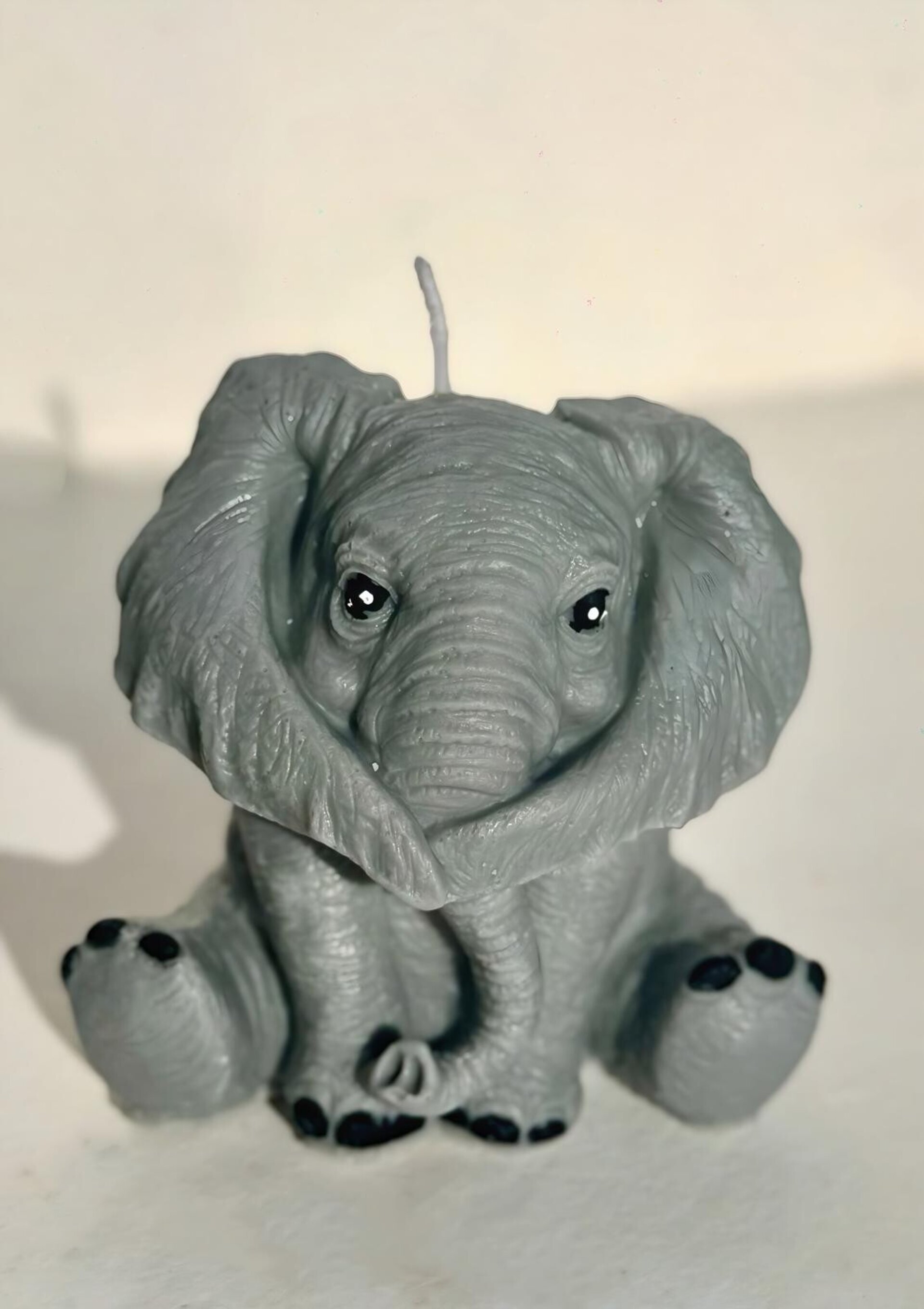 ELEFANTE VER, OÍR Y CALLAR - 2